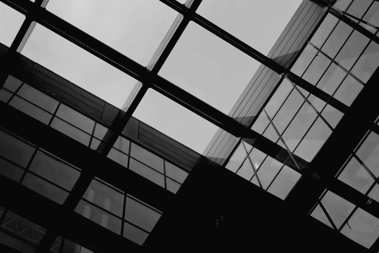 Advisory meeting at EJS Management & Consulting